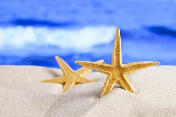 Starfish on sea background — Stock Photo, Image