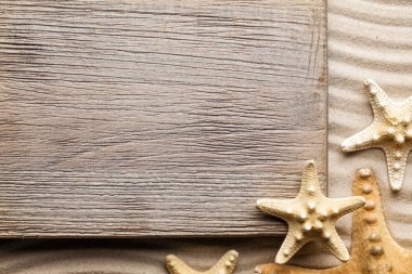Ahşap tahta ve kabukları sahilde