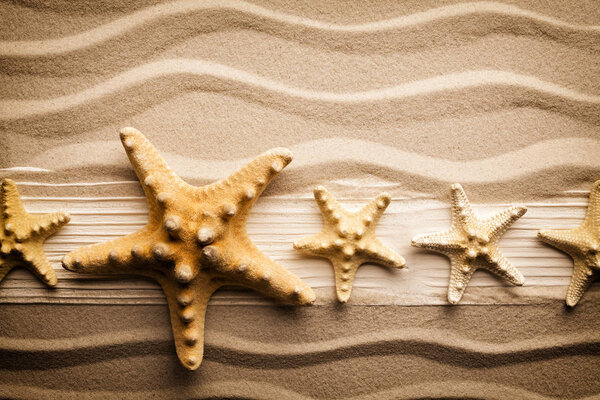 Морская звезда и деревянная доска на песке

