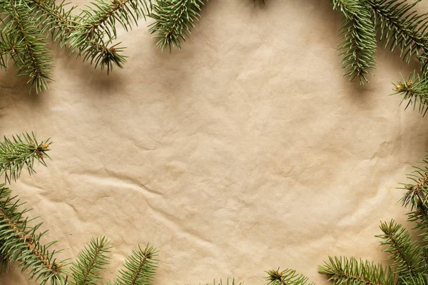 Karácsonyi háttér - lucfenyő bokrok merített papír lapot — Stock Fotó