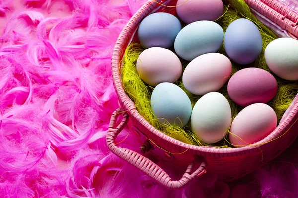 Pasen-achtergrond - gekleurde eieren en veren op roze achtergrond — Stockfoto