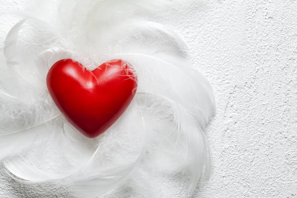 Red heart and white feathers on plastered background