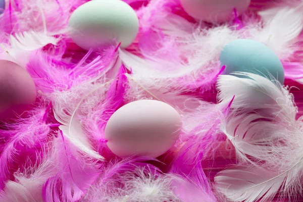 White and pink feathers and many colored Easter eggs on pink bac