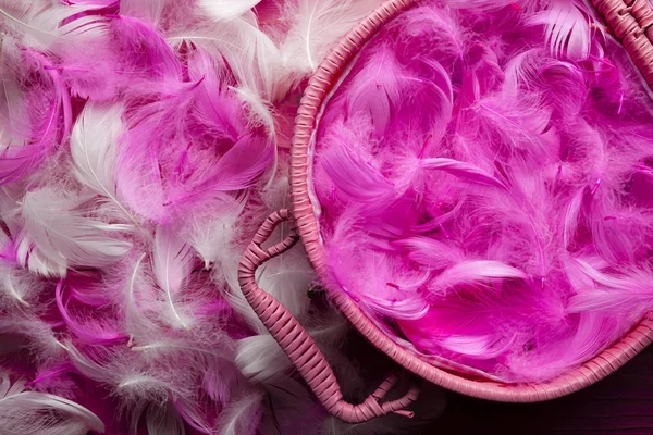 Fondo de Pascua - plumas blancas y rosas — Foto de Stock