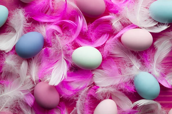 Penas brancas e rosa e muitos ovos de Páscoa coloridos no bac rosa — Fotografia de Stock