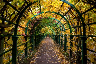 Sonbahar yapraklarıyla süslenmiş kemerin altındaki boş yol
