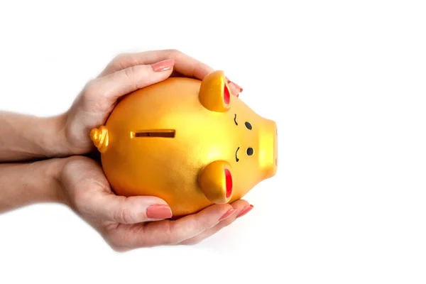 Female Hand Holding Piggy Bank — Stock Photo, Image