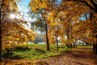 Parkta güzel sonbahar renkleri