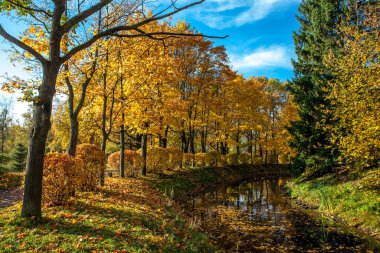Parkta güzel sonbahar renkleri