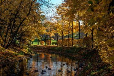 Parkta güzel sonbahar renkleri
