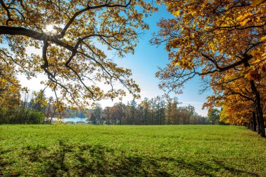 Parkta güzel sonbahar renkleri