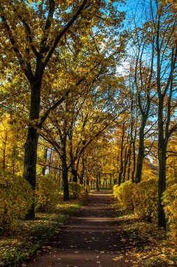 Parkta güzel sonbahar renkleri