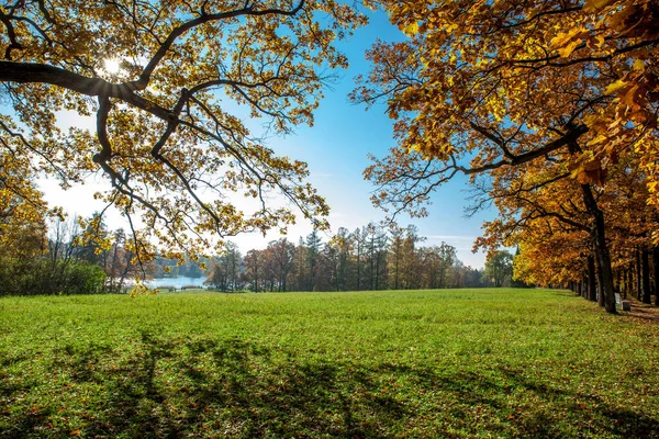 Piękne Kolory Jesieni Parku — Zdjęcie stockowe