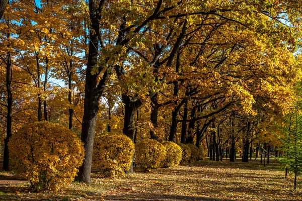 Beautiful Autumn Colors Park — Stock Photo, Image
