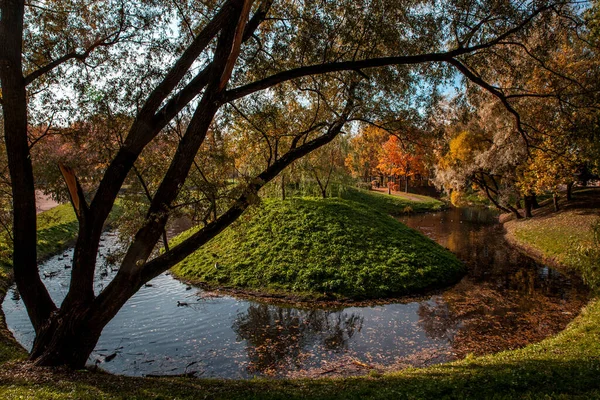 公園の美しい秋の色 — ストック写真