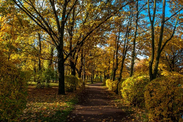 Vackra Höstfärger Parken — Stockfoto