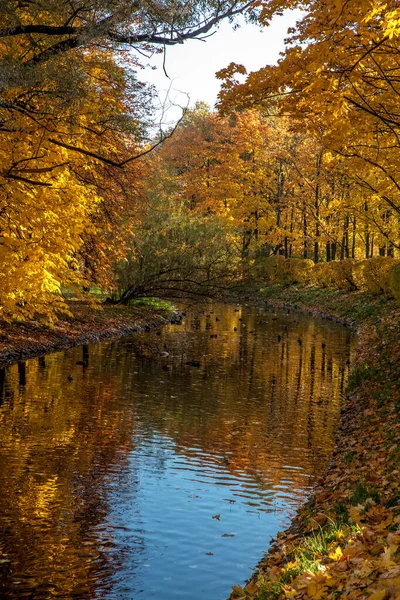 Красивые Осенние Цвета Парке — стоковое фото