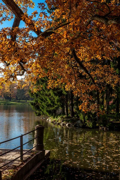 Lindas Cores Outono Parque — Fotografia de Stock