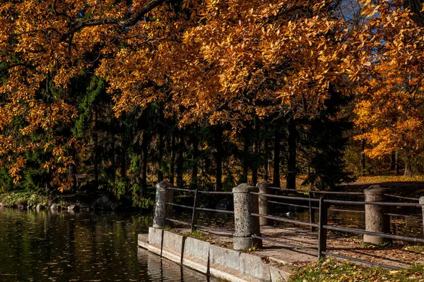 Cais Parque Outono — Fotografia de Stock