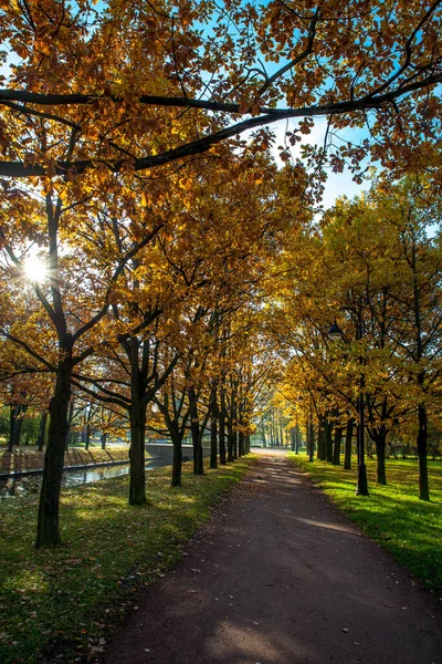 公園の美しい秋の色 ストック画像