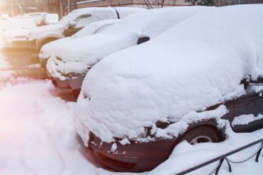 Taze beyaz karla kaplı arabalar.