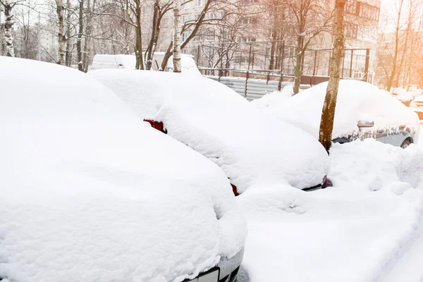 Taze Beyaz Karla Kaplı Arabalar Stok Fotoğraf