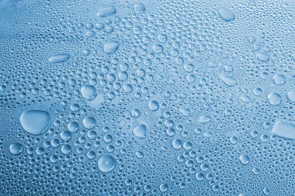Texture Water Drops Light Background — Stock Photo, Image
