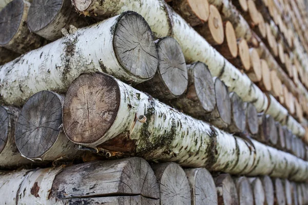 Old Wall Logs Birch — Stock Photo, Image