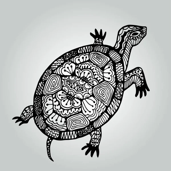 Handdrawing doodle kaplumbağa. Yabani hayvanlar ve bitkiler koleksiyonu. — Stok Vektör