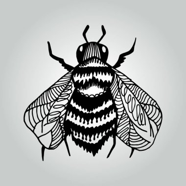 Soyut doodle arı. Yabani hayvanlar ve bitkiler koleksiyonu.