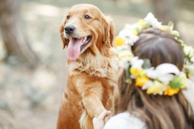 parkta köpek gelinle