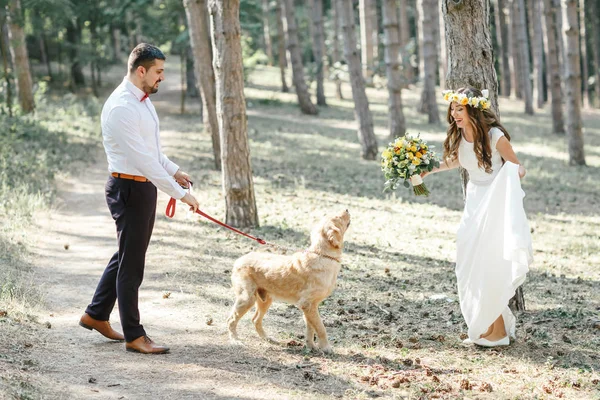 Bruidegom met de bruid en de hond — Stockfoto