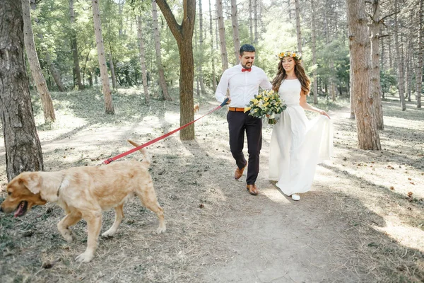 Bruidegom met de bruid en de hond — Stockfoto