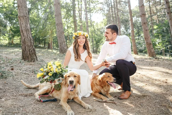 Groom with the bride and the dog — Stock Photo, Image