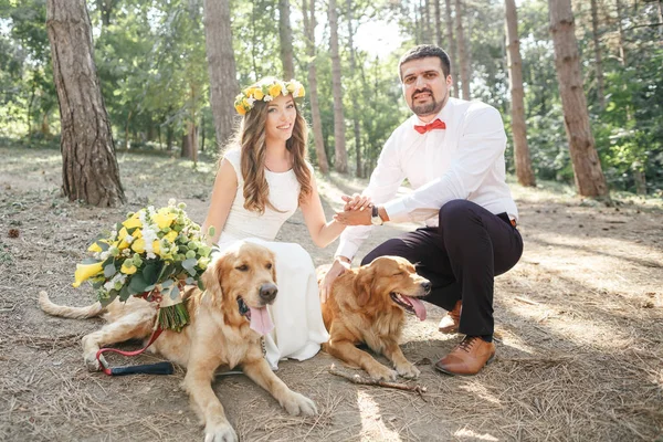 Groom with the bride and the dog — Stock Photo, Image