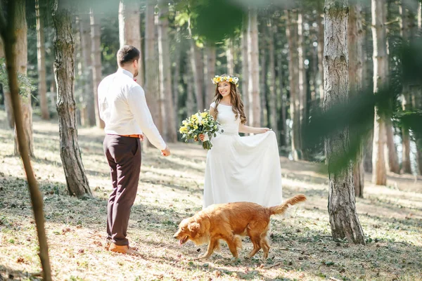 신랑 신부와 개 — 스톡 사진