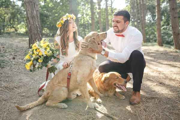 Groom with the bride and the dog — Stock Photo, Image