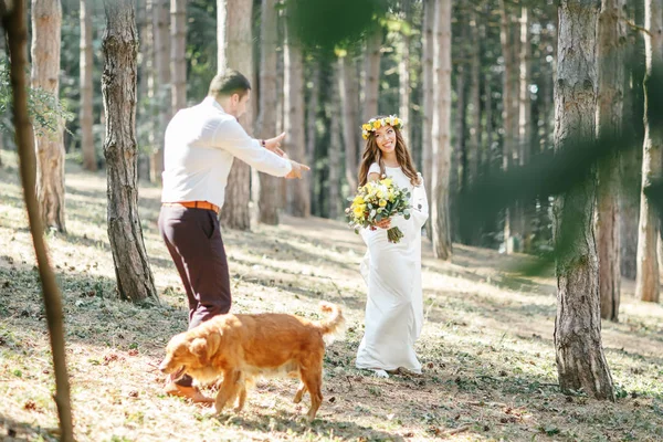 Bruidegom met de bruid en de hond — Stockfoto