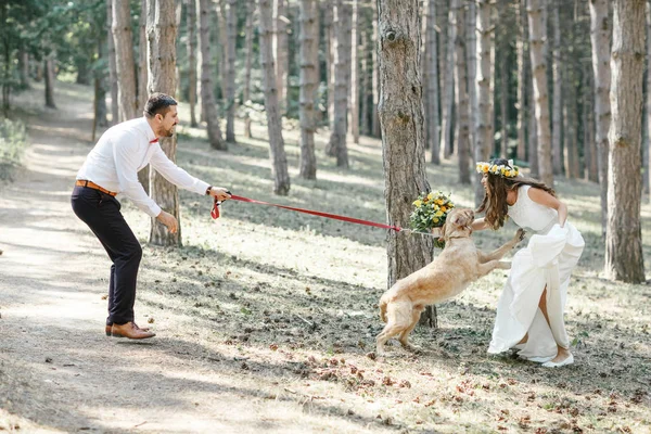 Groom with the bride and the dog Royalty Free Stock Images