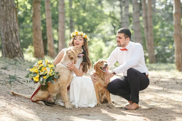 Novio con la novia y el perro Imagen de archivo