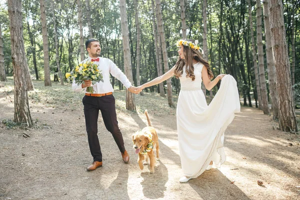 Bräutigam mit Braut und Hund lizenzfreie Stockfotos