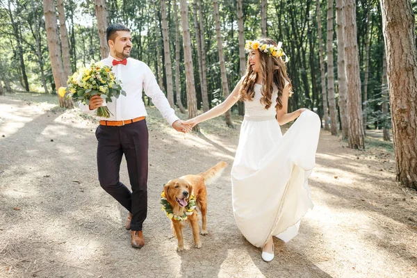 Bräutigam mit Braut und Hund lizenzfreie Stockbilder