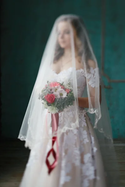 Retratos de la novia en el estudio — Foto de Stock