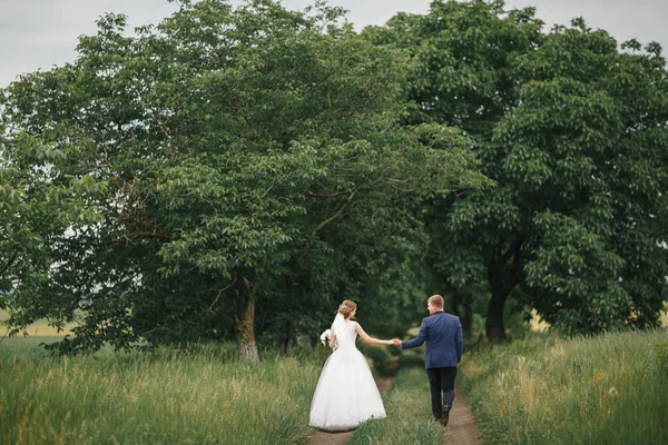 De bruid en de bruidegom lopen in het park — Stockfoto