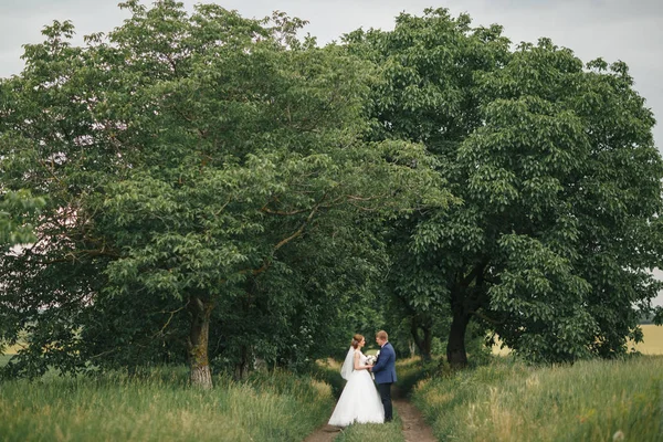 De bruid en de bruidegom lopen in het park — Stockfoto