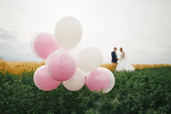 Bruiloft ballen in een veld met tarwe — Stockfoto