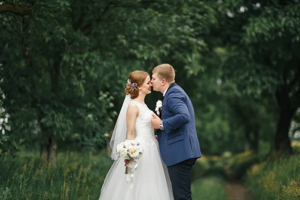 Caminhar o noivo e a noiva no parque — Fotografia de Stock