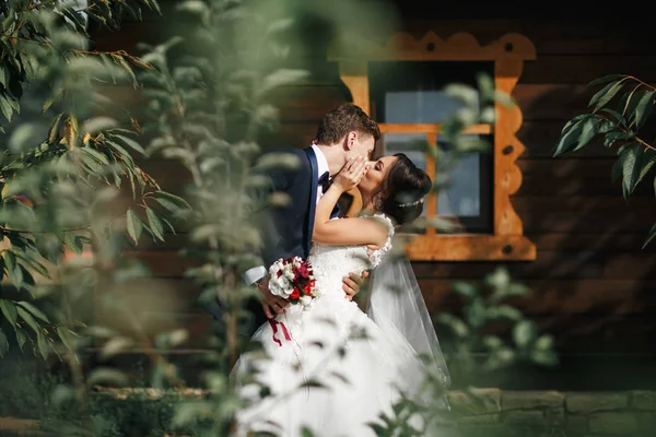 Promener le marié et la mariée dans le parc — Photo