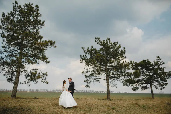 Groom with the bride on a walk — Stock Photo, Image