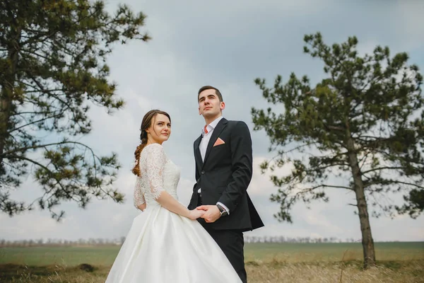 Bruidegom met de bruid op een wandeling — Stockfoto